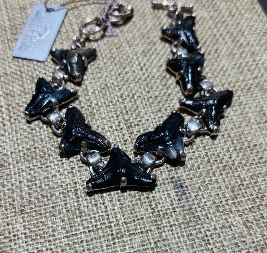 Starborn Fossil Shark Tooth Bracelet in Sterling Silver