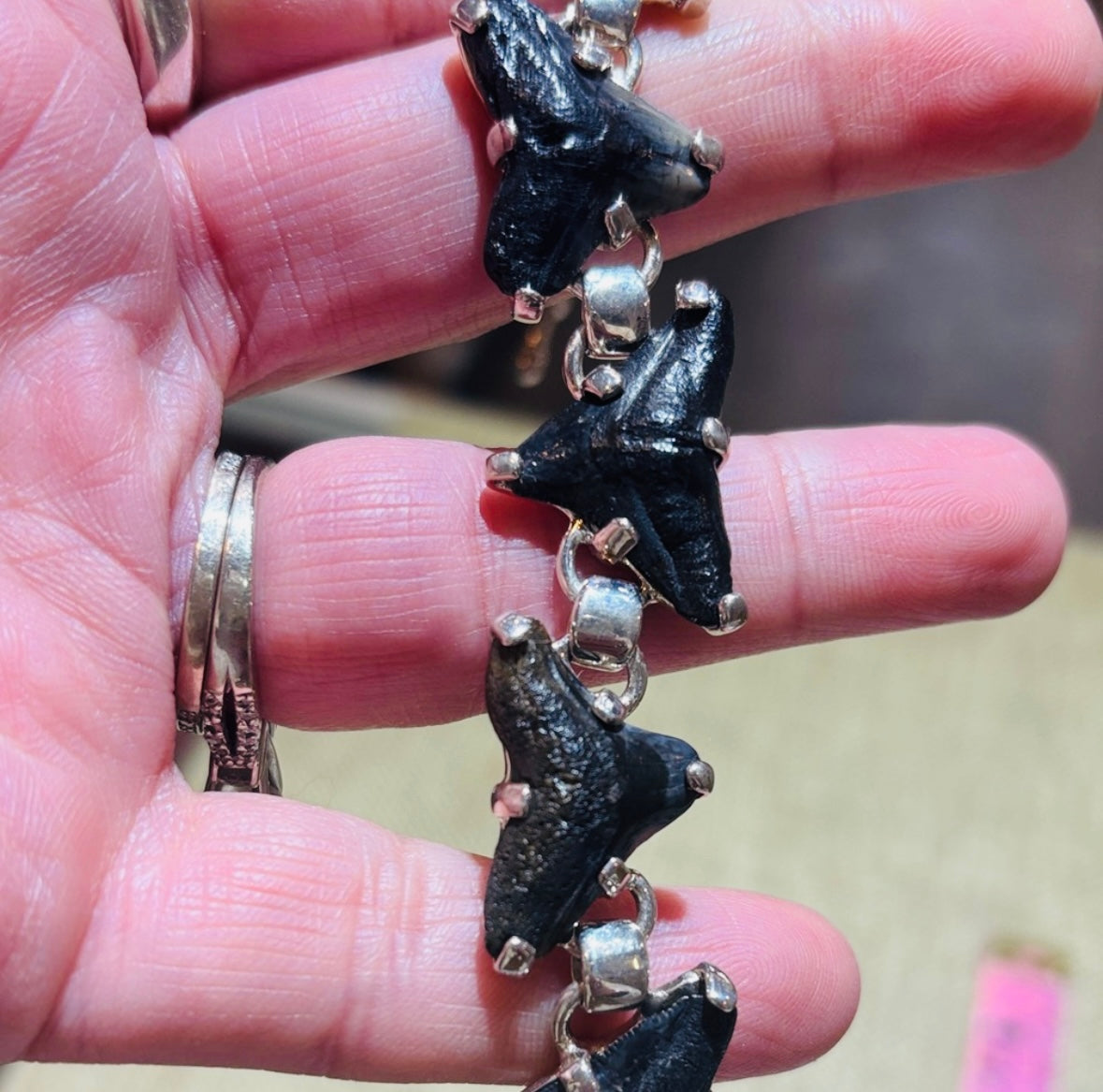 Starborn Fossil Shark Tooth Bracelet in Sterling Silver