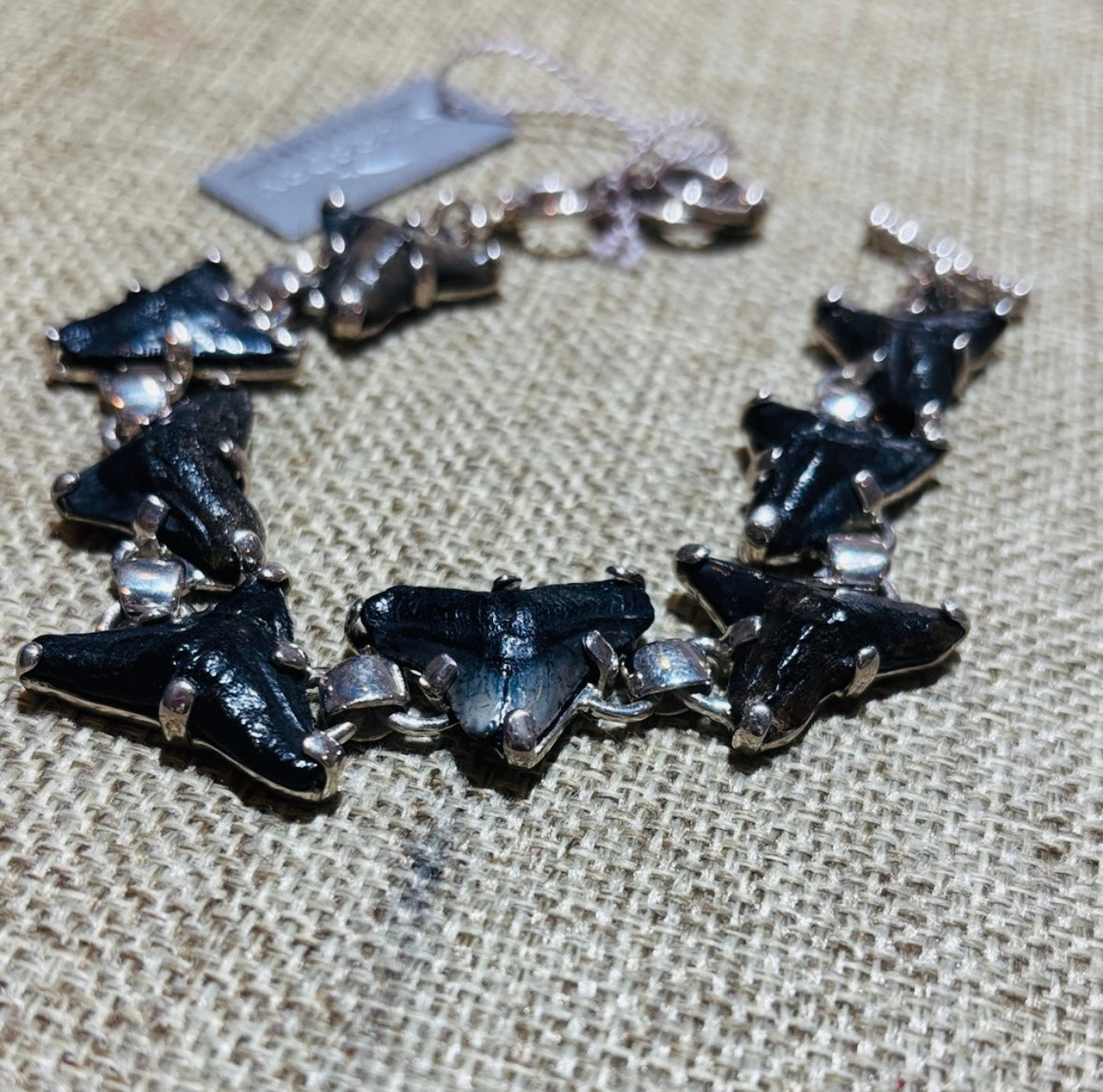 Starborn Fossil Shark Tooth Bracelet in Sterling Silver