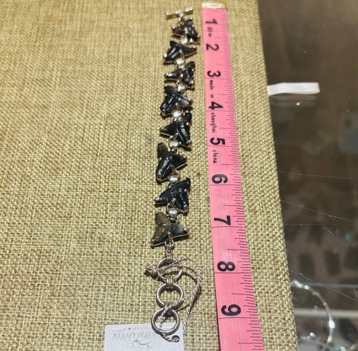 Starborn Fossil Shark Tooth Bracelet in Sterling Silver